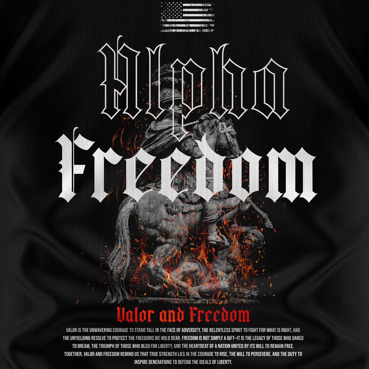 Valor And Freedom T-shirt