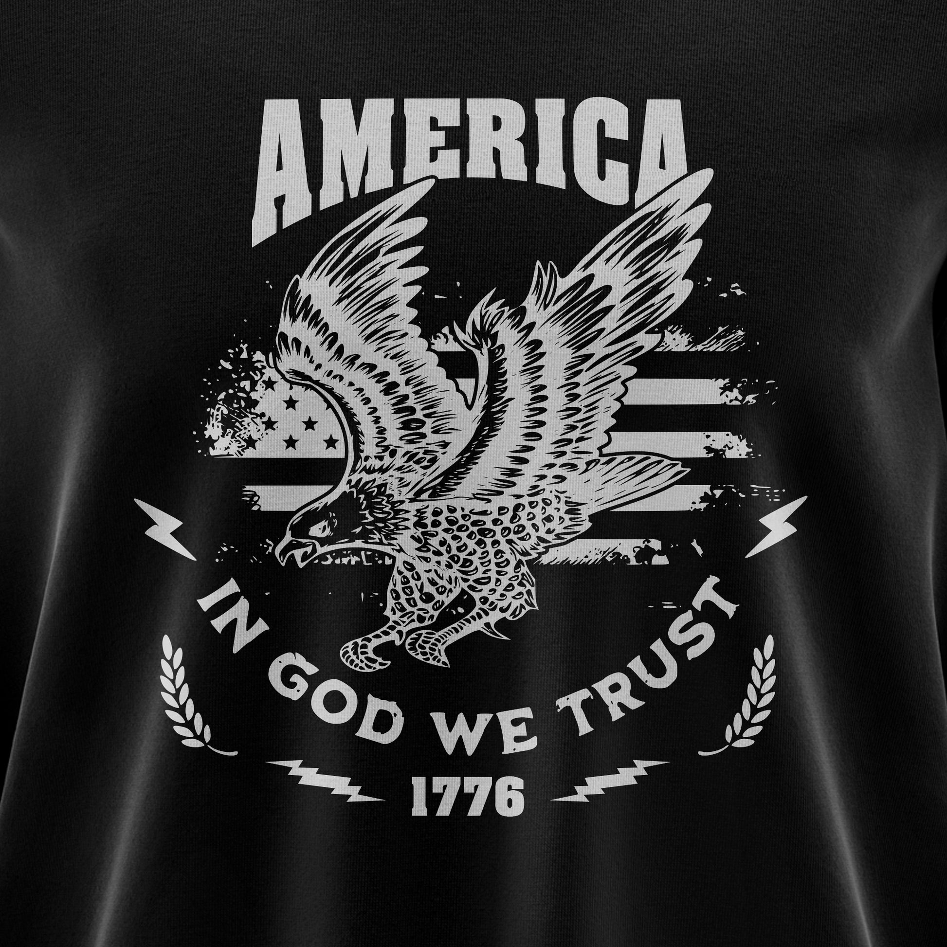 AMERICA IN GOD WE TRUST 1776