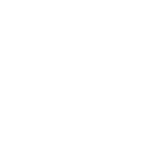 alpha freedom wear logo in white color